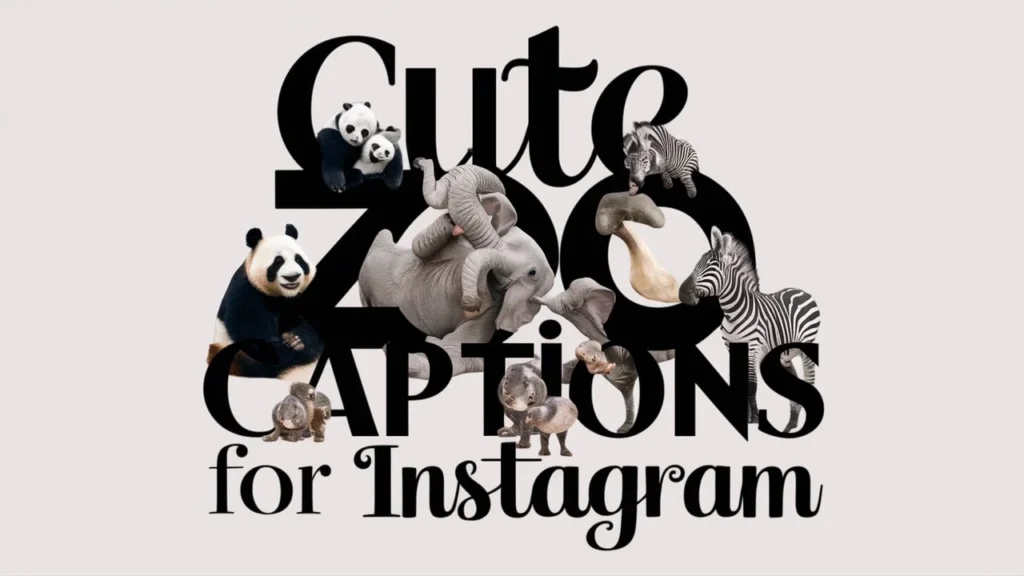 Cute Zoo Captions for Instagram