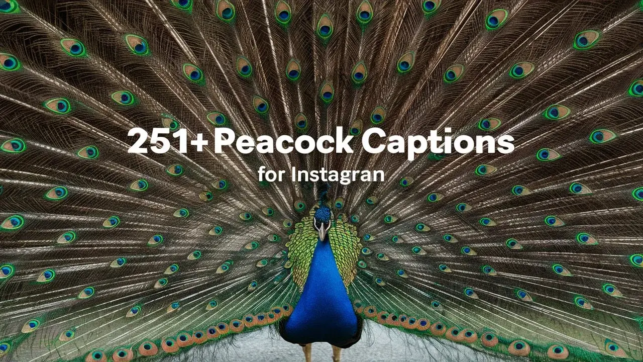 Peacock Captions for Instagram
